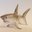 www_wireshark_no gravatar image